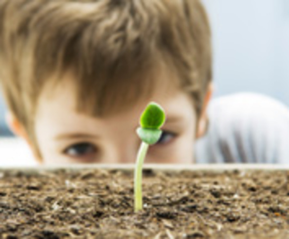 O ínicio da Lyoness