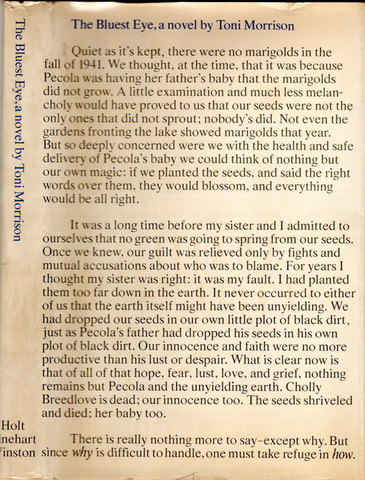 The Bluest Eye is published