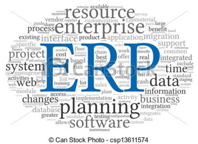 Aparecen los Sistemas ERP