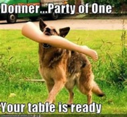 the donner party