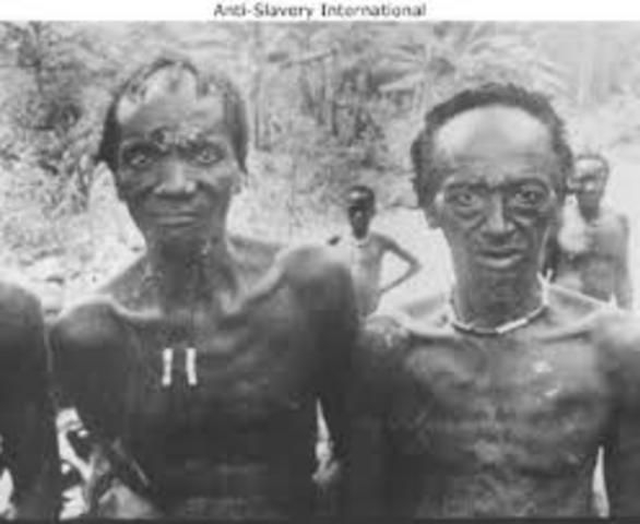 Teddy Helps the Brits