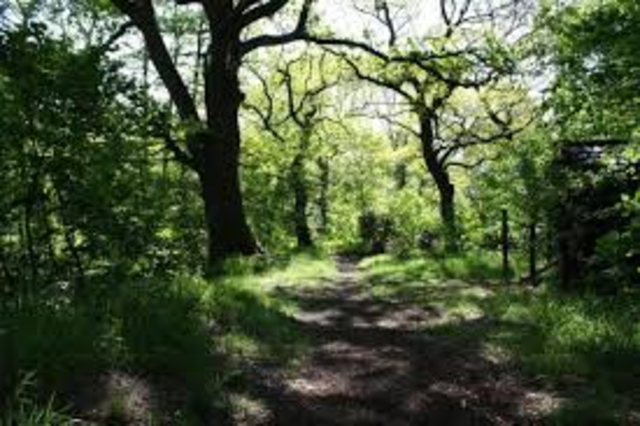 Climax: Dangerous Man