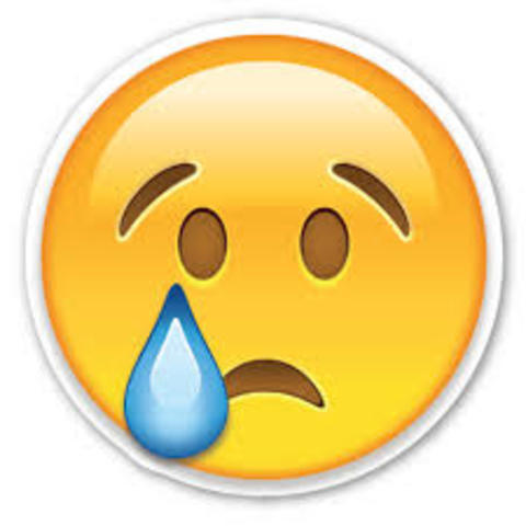 Falling Action: Important Decision