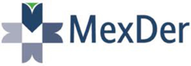 Se constituye el MexDer