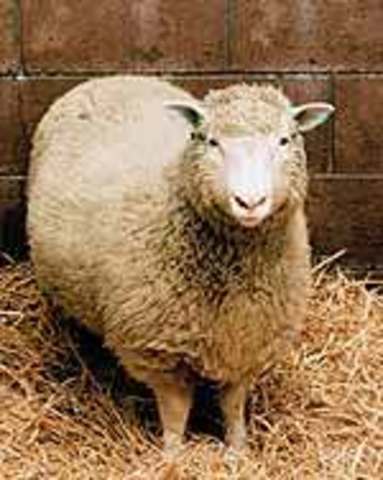 Clonación de la oveja Dolly