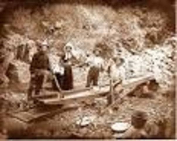 The California gold rush
