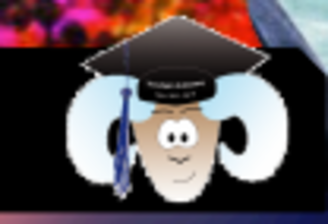 Presidenta Comité de Graduación