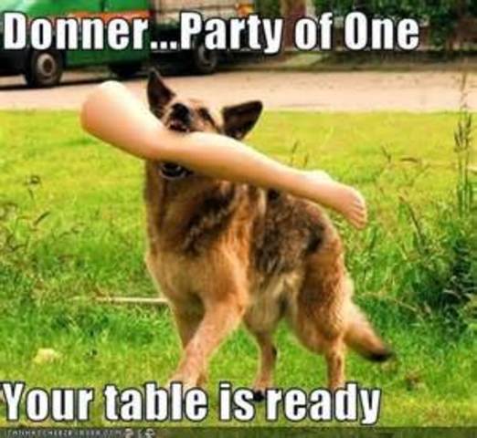 Donner Party