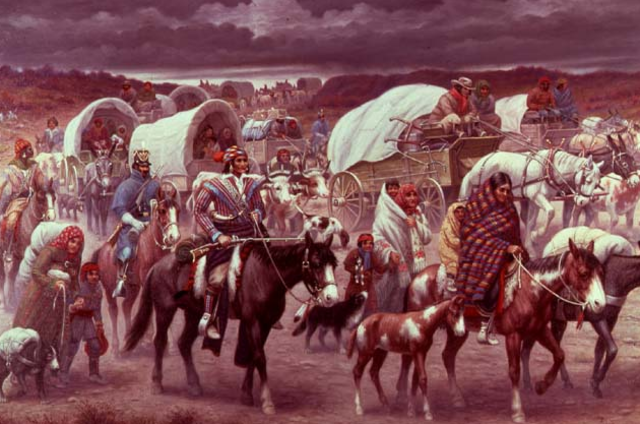 Indian removial/Trail of tears