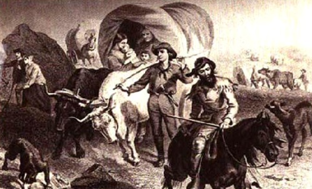 Texas Rebellion