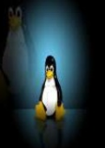 Torvalds adopta al pingüino Tux como mascota de Linux
