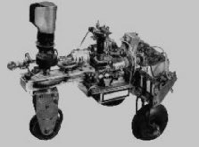 Tortue cybernétique