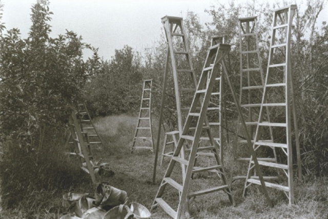 Assignment in Isreal