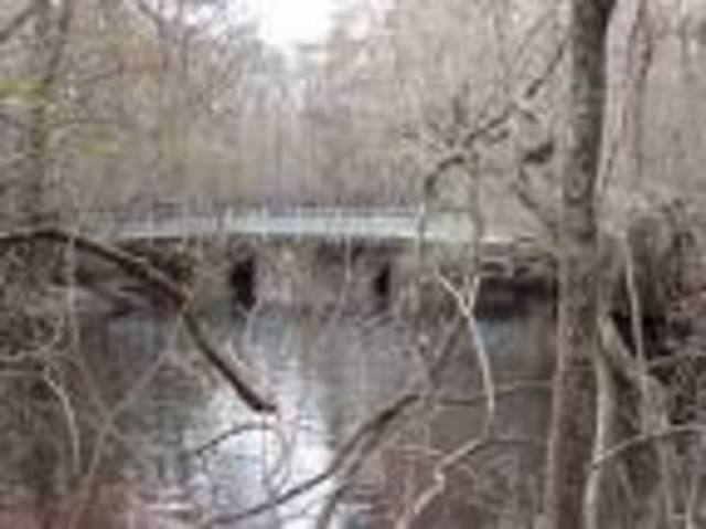 Battle of Moore's Creek Bridge