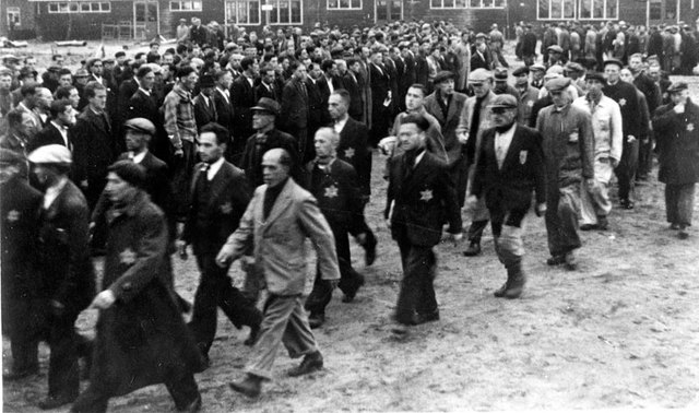 Send to transition camp.