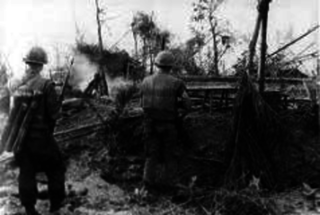 Tet Offensive begins