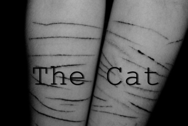 In the summer of (2007), A 20 year old Bronx soldier paid a hit man $500 to shoot him in the knee on the day he was scheduled to return to Iraq.