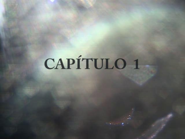 Capítulo 1