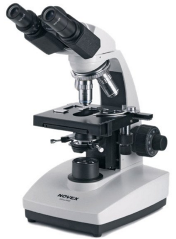 TP Nº 3: Métodos Diagnósticos