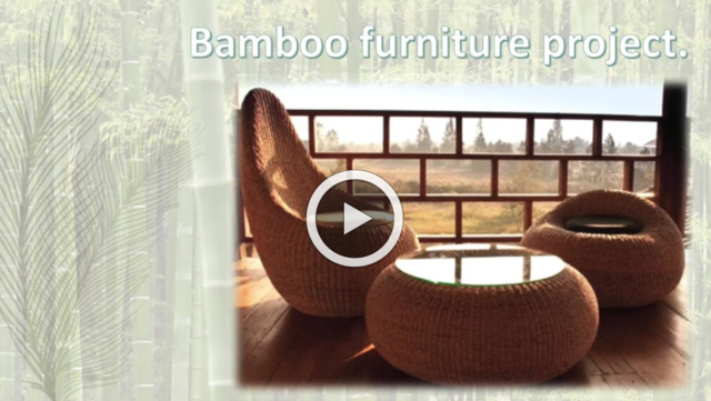 The project presentation