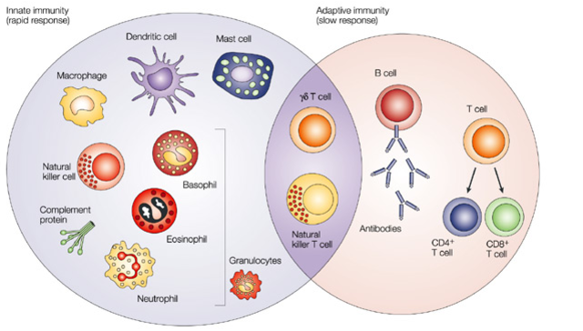 Seminarios de Integración