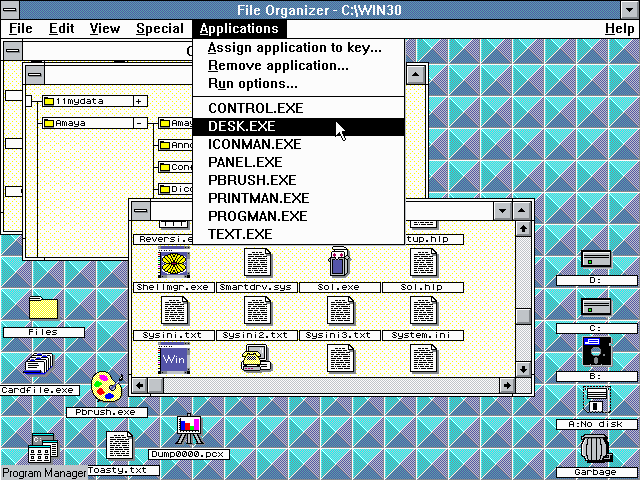 Windows 3.0