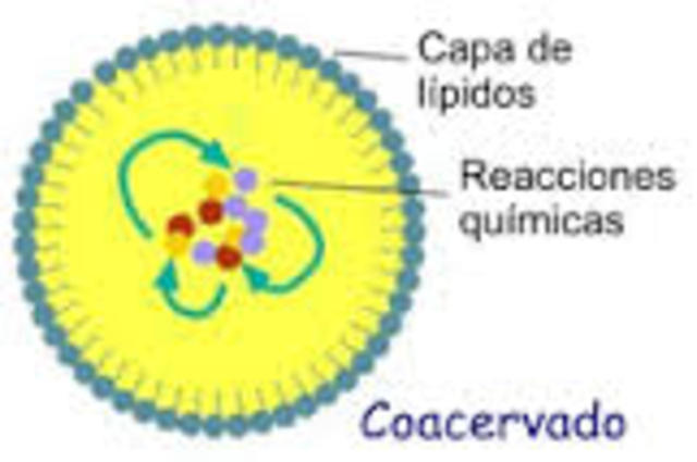 4500 M.a. " aparicion de coacervados"