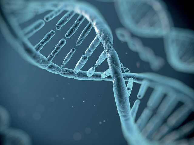 J'ai appris la biologie.