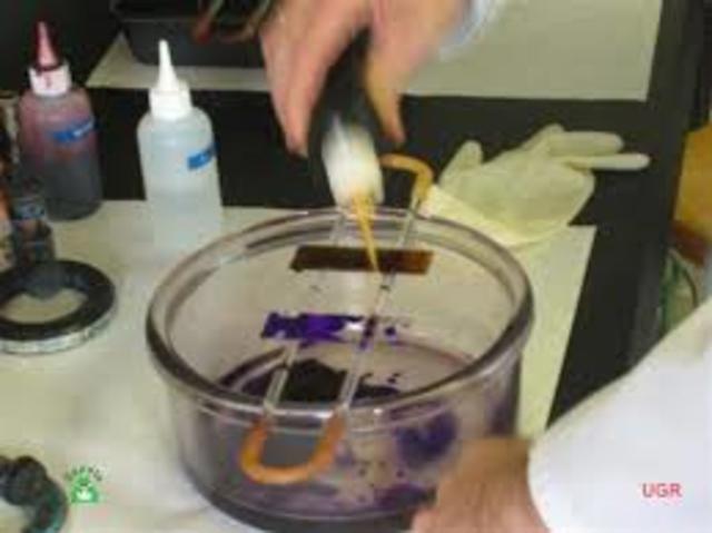 COMENZAR LA TINCIÓN