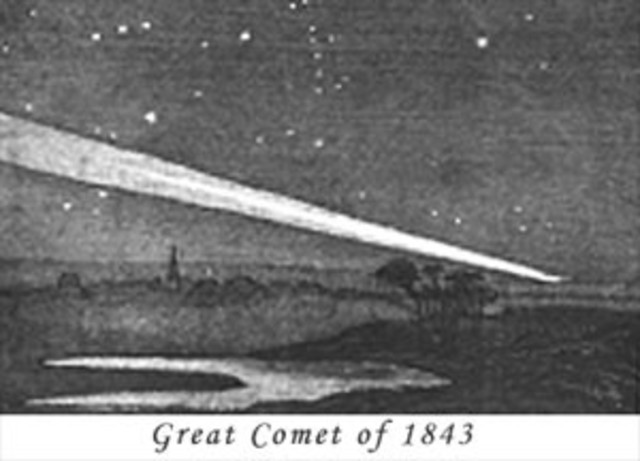 polding appointed archbishop