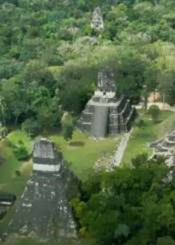 Tikal becomes the first great Maya city.