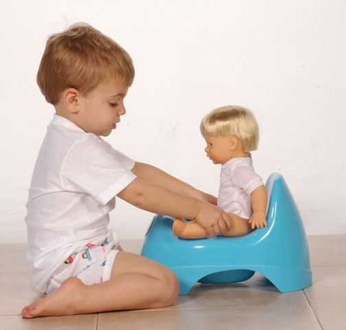 TODDLER - Potty Training - physical/cognitive/socioemotional