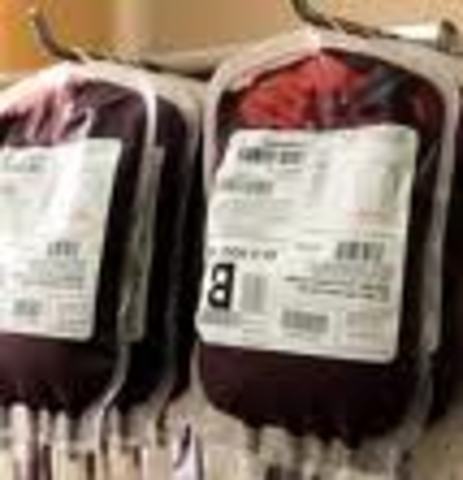 First blood bank