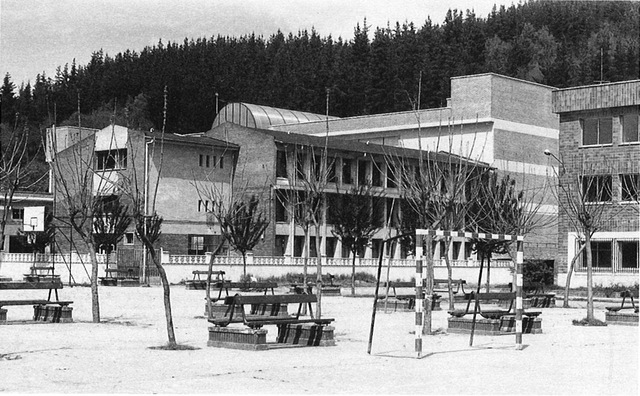 creacion de la direccion nacional de higiene