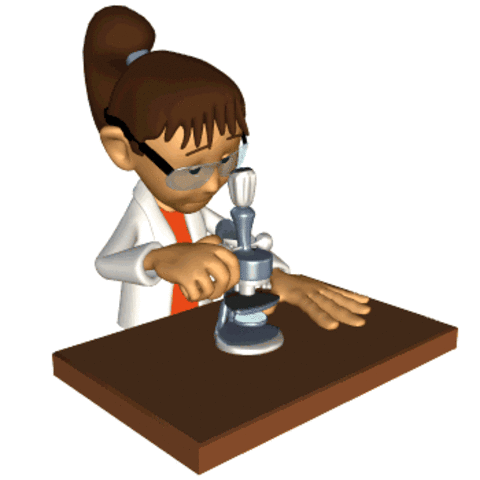 Contexto de Descubrimiento