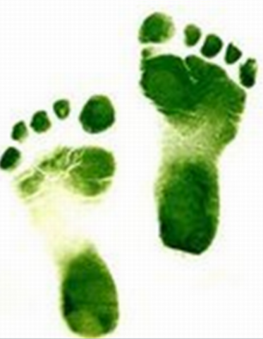 Declaración de Lazarote. Carta del turismo sostenible