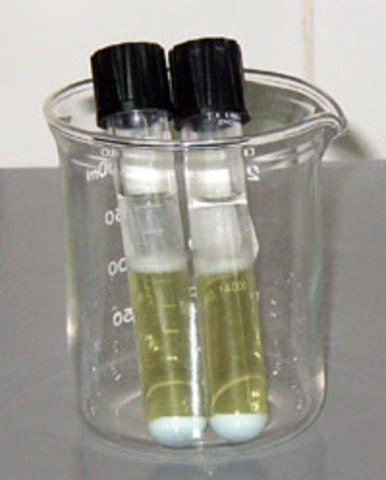 Ayur Veda Susruta Malhumeda