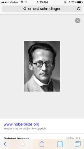 Ernest Schrodinger