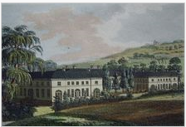 término diabetes "mellitus"