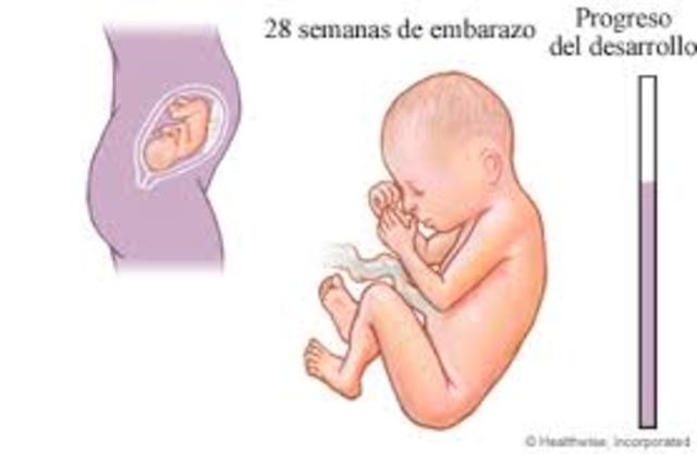 Septimo mes. Semana 28. 9-MAY-16