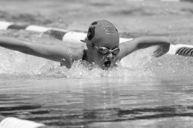 todo de natación de la ciudad