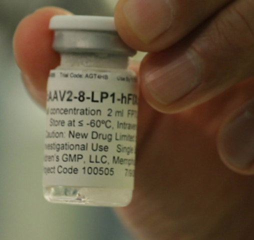 creación del tratamiento