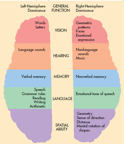 Early Years- Remarkable Brain Development (Physical)