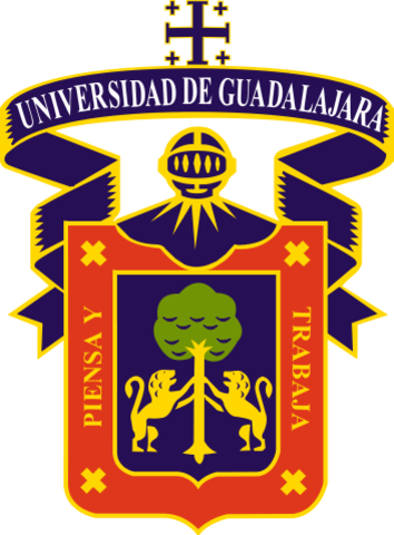 Ganador del rally de conocimiento en UDG