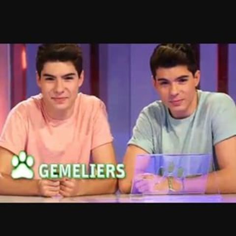 They are sworn the Vaya Fauna