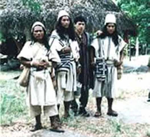 estan organizadas las tribus indigenas