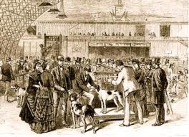 first westminster dog show