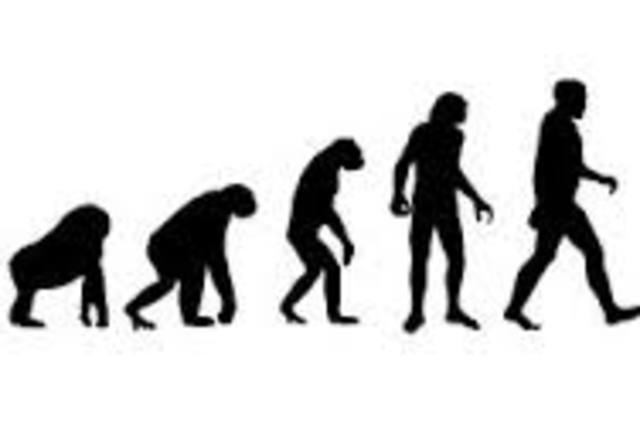 Our species, Homo sapiens evolves