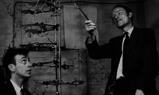 Watson and Crick Describe the Double Helix DNA Model