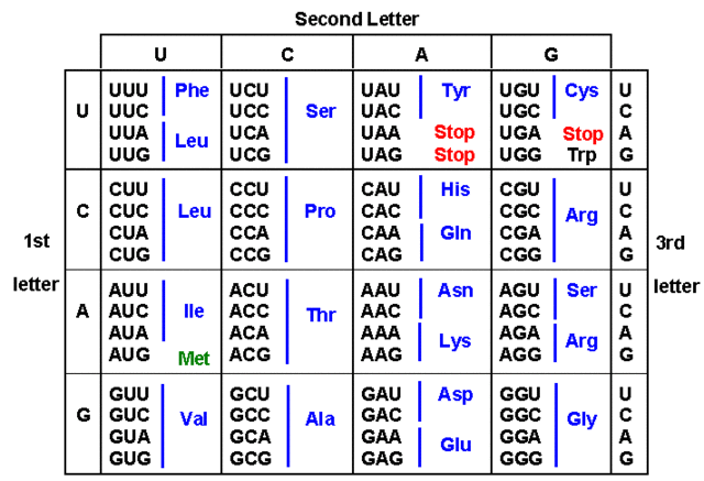 Nirenberg, Khorana and Holley Determine Genetic Code